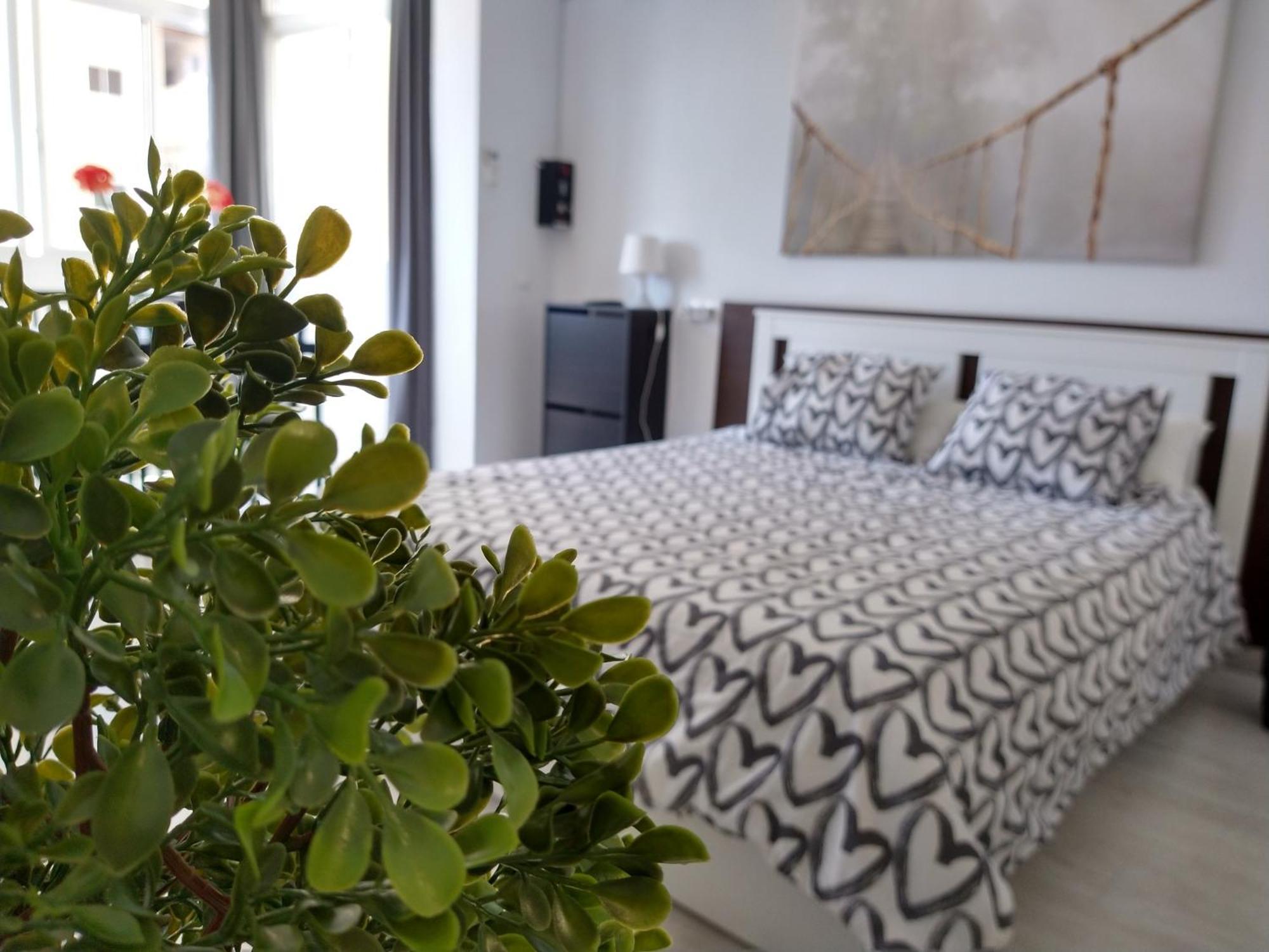 Amplio Estudio,Vista Mar Y Montana, A Pasos Del Centro 托雷莫利诺斯 外观 照片